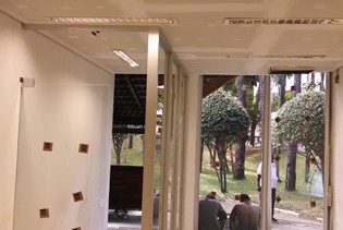 moema11